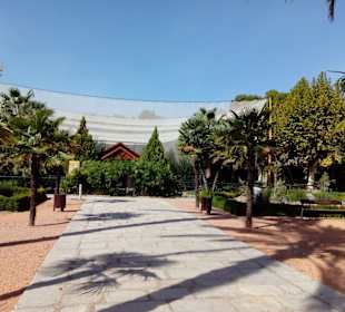 ZOO José Cruz Conde