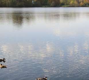 Blick auf den Hohnsensee