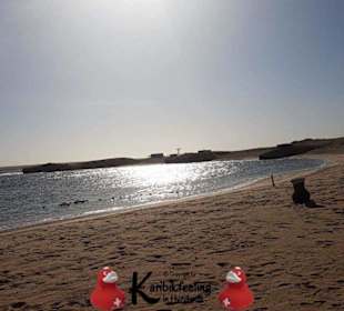 Schnorchelausflug nach Sharm El Naga 15.11.17