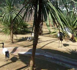 Маринеленд