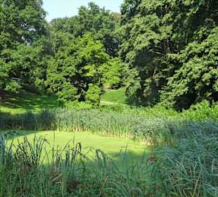 Eindrücke aus dem Harburger Stadtpark