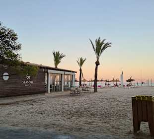 Strand Alcudia
