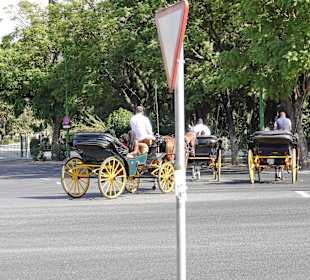 Pferdekutschenfahrt durch Sevilla