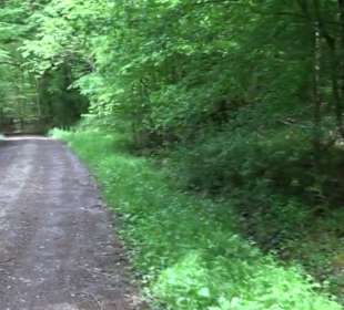 Naturpark Schönbuch