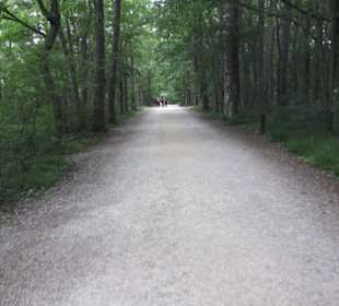 Burgruine Hohenneuffen