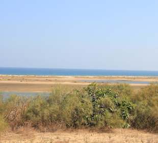 Blick in das Naturschutzgebiet