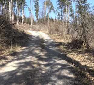 Geologischer Lehrpfad Kirnbachtal