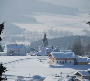 Baumwipfelpfad Winter 2010