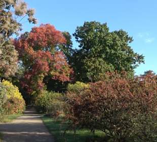 Botanischer Garten