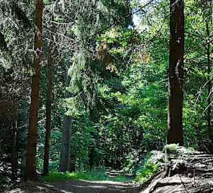 Wandern Oberschützen