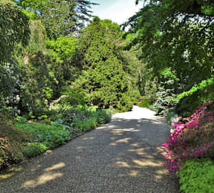 Eindrücke vom Rundgang durch den Berggarten