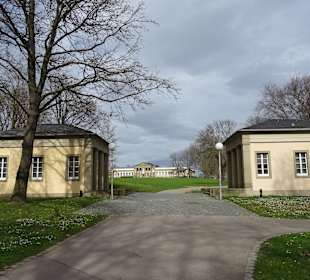 Schlossgarten Übergang zum Rosensteinpark