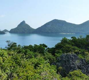 Blick vom Aussichtspunkt (Salzsee)zum Nationalpark