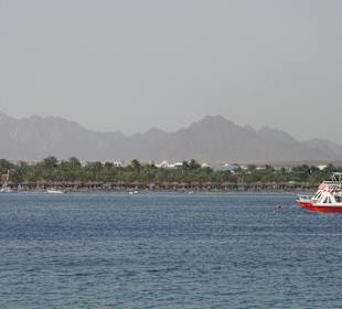 Ausblick auf den Strand der Naama Bay