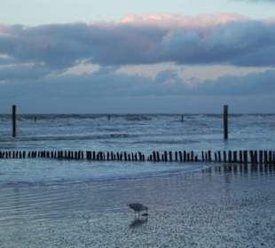 Strand im Winter