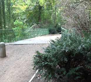 Großer Tiergarten