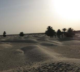 Sahara- Tunezja