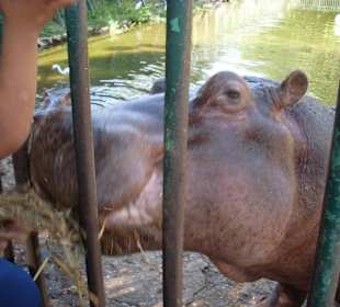Zoo
