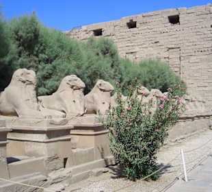 Widder-Allee am Karnak-Tempel