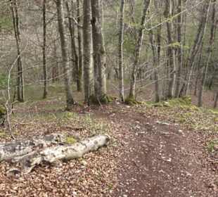 Wanderweg Hochgehswiggert