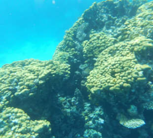 Sehr schöne Schnorcheltour 07.09.21