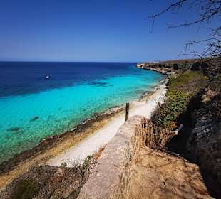 Washington Slagbaai Nationalpark