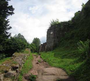 Die Wegelnburg