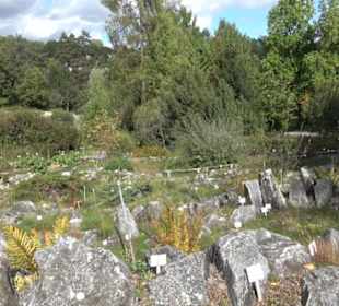 Alpinum