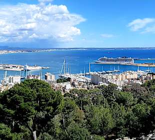 Hafen Palma de Mallorca