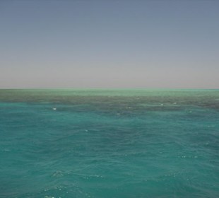 Ausblick vom Boot
