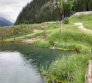 Wandern Kleinarl
