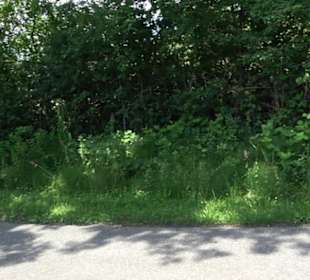 HAP Grieshaber Rundweg