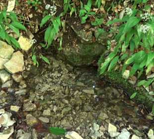 Wiesaztal Gönningen