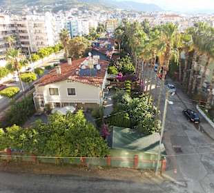 Вид из номера отеля Ананас