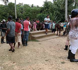 Einteilung der Guides