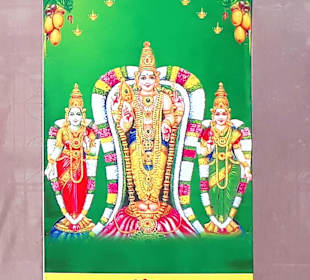 Arul Mihu Navasakthi Vinayagar Temple