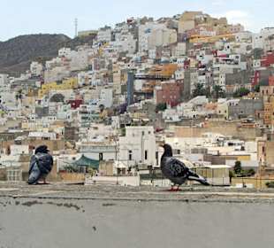 Santa Ana - Aussicht