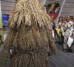 Fastnachtsmuseum Narrenschopf