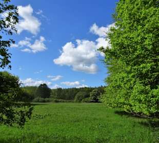 Eindrücke aus dem Stadtwald Oldenburg