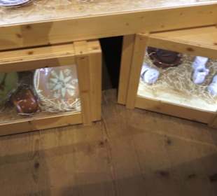 Schlössle von Effringen