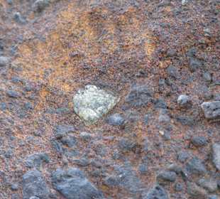 Olivinsteine - eingeschlossen im Fels 