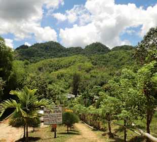 Sicht auf die Wälder der Mayfield Falls