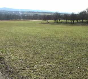 Grillplatz Tellerhecke