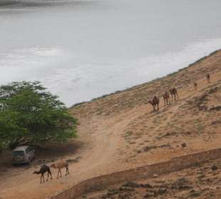 Ausblick auf die Lagune