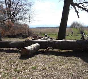 Geschichtlicher Lehrpfad Einsiedel