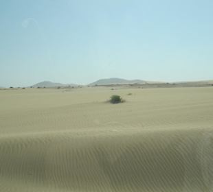 Sanddüne II im Norden