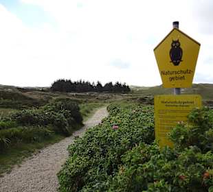 Norddorfer Dünen