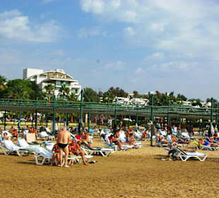 Inspirationen an d.Strandprom.entlang Nov.2010