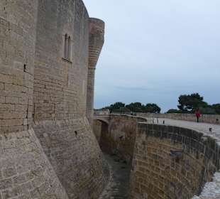 Castell de Bellver
