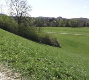 Monte Kik